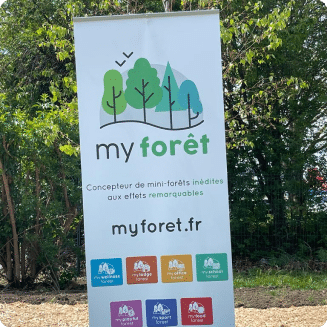 My forest