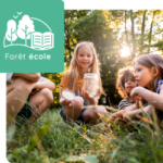 my_forest_ecole