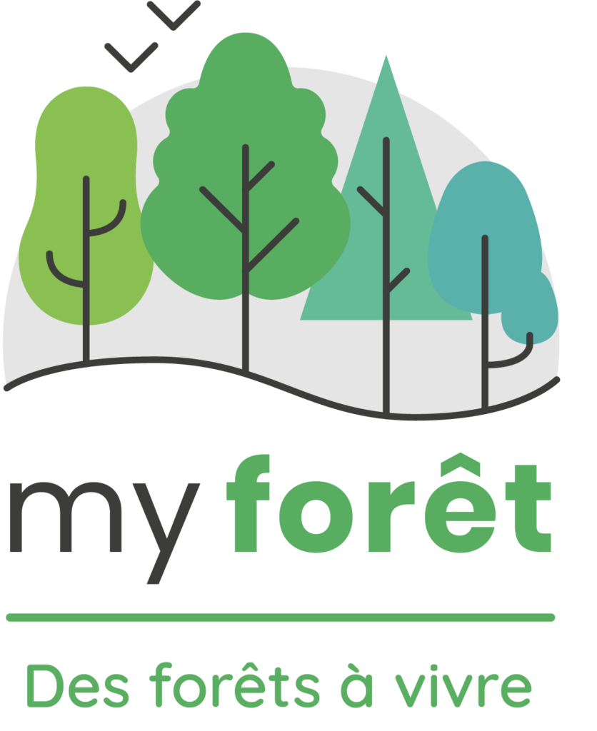 My foret des forets a vivre sans fond